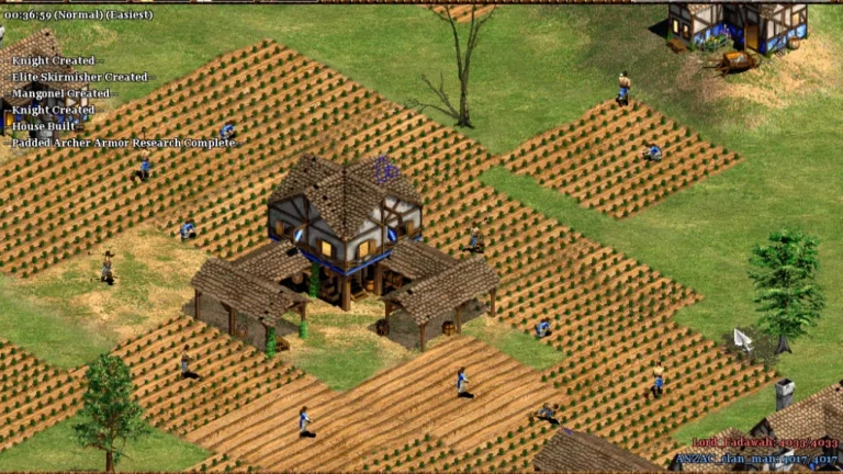 Age of Empires 2 The Conquerors